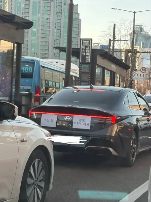 1e595591ac40b63aa9e329378d338012_1784802901_7089.webp