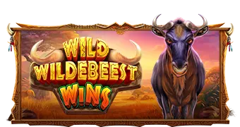 Wild Wildebeest Wins