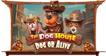 The Dog House Dog or Alive