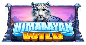 Himalayan Wild