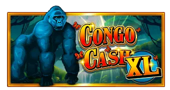 Congo Cash XL