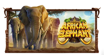 African Elephant™