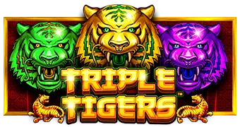 TRIPLE TIGERS