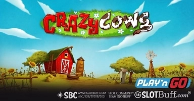 크레이지 카우 [Crazy Cows]