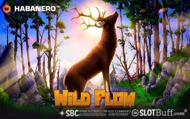 와일드 플로우 [WILD FLOW]