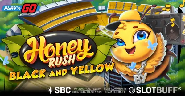 허니 러쉬 블랙 앤드 옐로우 [Honey Rush Black and Yellow]
