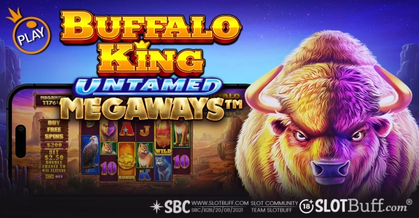 버팔로 킹 언테임드 메가웨이즈 [Buffalo King Untamed Megaways]