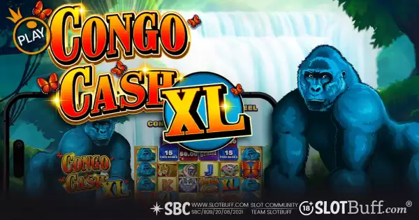 콩고 캐쉬 XL [Congo Cash XL]
