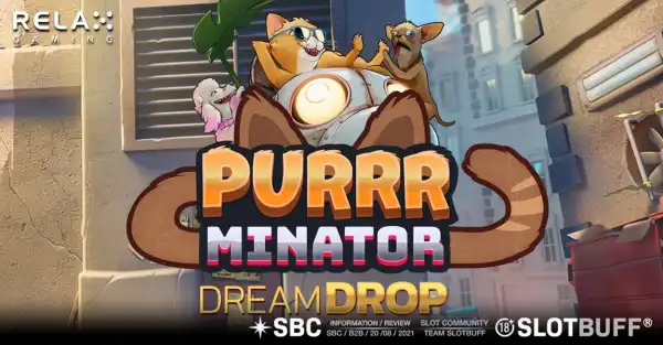 퍼미네이터 드림드롭 [Purrrminator Dream Drop]