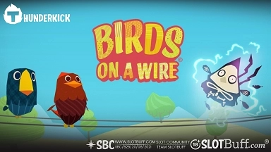 썬더킥 [버드 온 어 와이어] [Birds On A Wire]