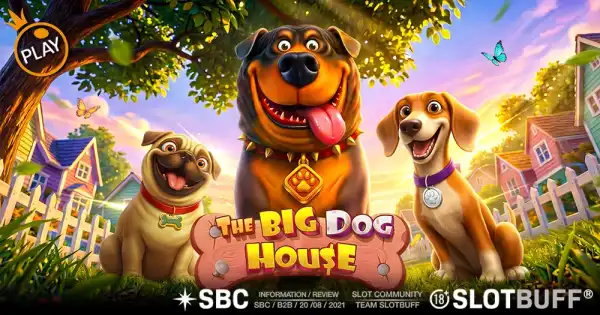 더 빅 도그 하우스 [The Big Dog House]