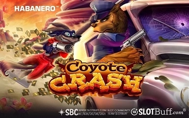 코요태 크래쉬 [Coyote Crash]