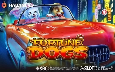 포춘 도그 [Fortune Dogs]